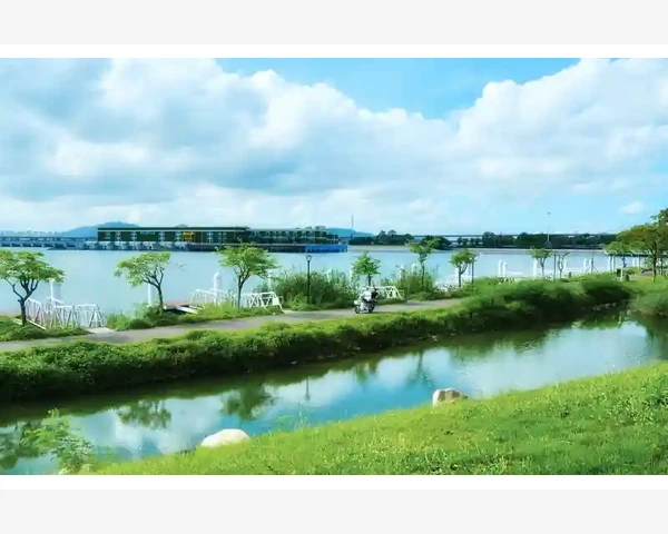 注册会计师授课名师口碑对比与选择心得