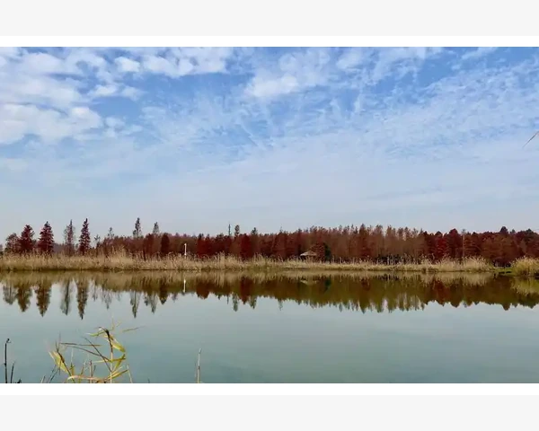 脾胃虚弱太瘦如何快速增重？实用方法全解析